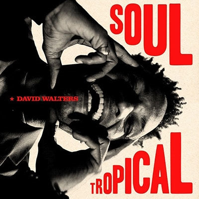 David Walters - Soul Tropical - Import LP Record