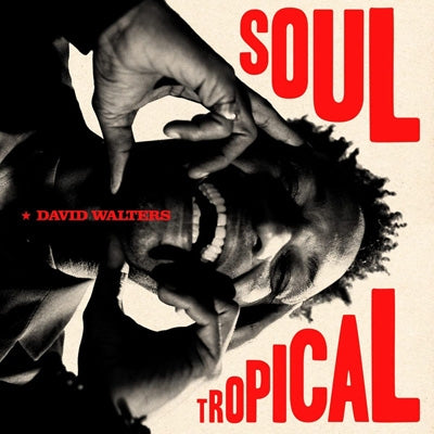 David Walters - Soul Tropical - Import CD