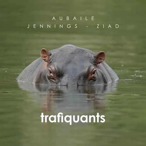 David Aubaile - Trafiquants - Import CD