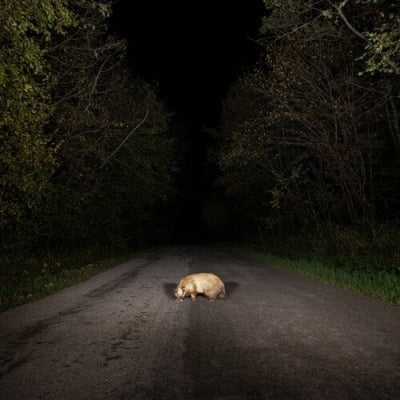 Stonks - Badger - Import CD