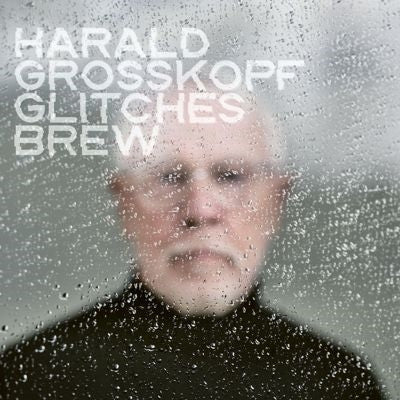 Harald Grosskopf - Glitches Brew - Import CD