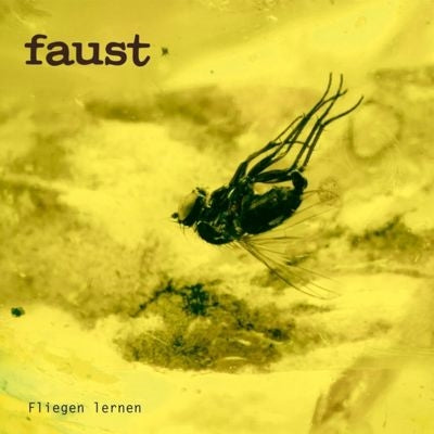 Faust - Fliegen Lernen - Import Vinyl LP Record