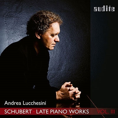 Andrea Lucchesini - Late Piano Works 3 - Import CD