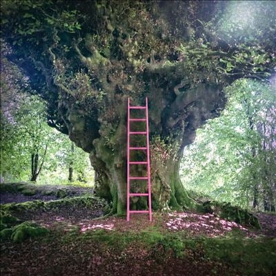 Simon Chesterfield - Simon Chesterfield - Import Vinyl LP Record