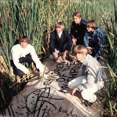 Children Of The Mushroom - Children Of The Mushroom - Import Vinyl LP Record