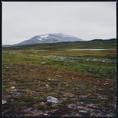 Gidge - Tundra - Import 12inch Record