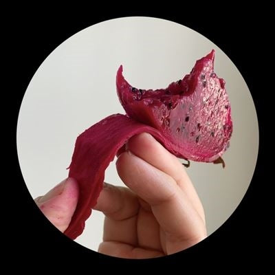 Tiga
、Hudson Mohawke - Kmz:Rmx - Import Picture Vinyl 12 inch Record