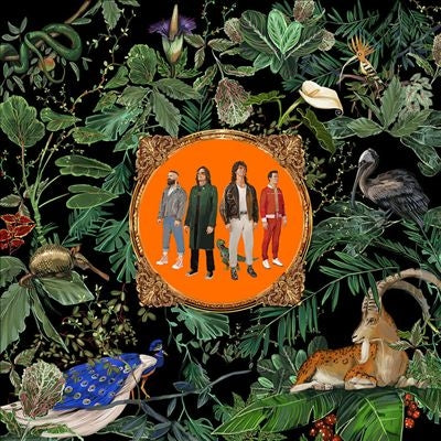 Don Broco - Amazing Things - Import Green Marble Vinyl LP Record