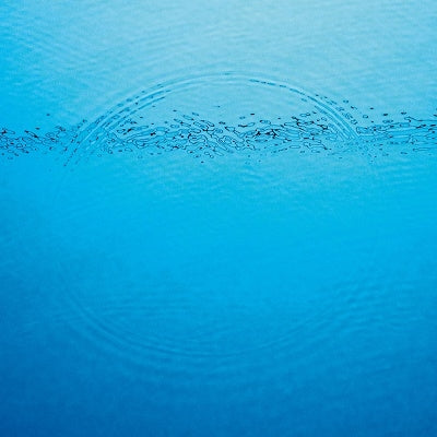 Caribou - Suddenly - Import CD