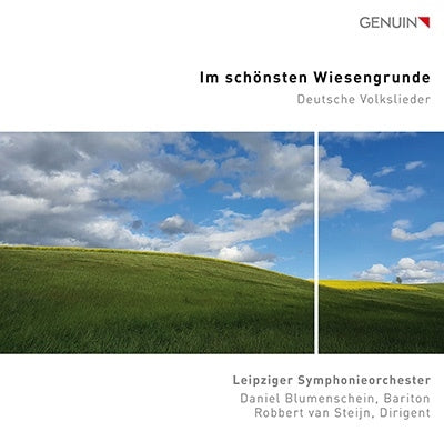 Mendelssohn / Leipziger Symphonieorchester - Im Schonsten Wiesengrunde - Import CD