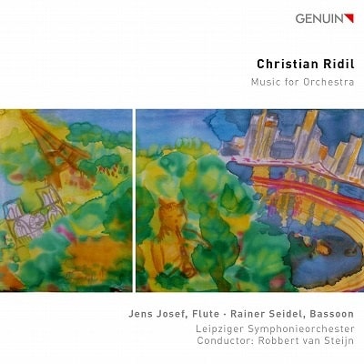Robbert Van Steijn - Ridil:Flute Conceto / Symphony No.1 Music For Orchestra - Import CD