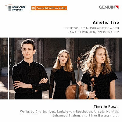 Amelio Trio - Time In Flux - Import CD