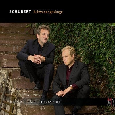 Markus Schafer - Schubert: Schwanengesange - Import CD