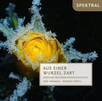 Vox Anima / Robert Göstl - Aus einer Wurzel zart (Choral Works for Advent & Christmas 20th Cent.) - Import CD