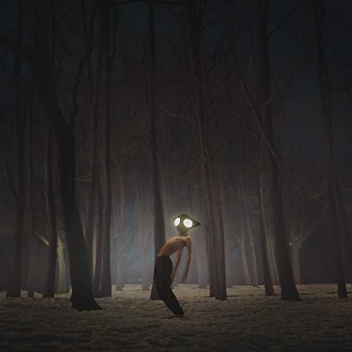 Geese - PROJECTOR - Japan CD