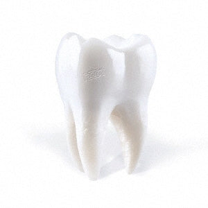 Porij - TEETHING - Import CD