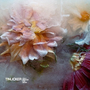 Tinlicker - Cold Enough For Snow - Import CD
