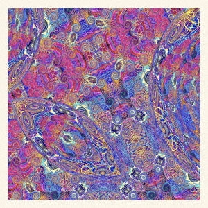 Carlos Nino & Friends - Placenta - Import CD