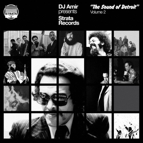 Various Artists - DJ Amir Presents Stratus Records: The Sound of Detroit Vol. 2 - Import 3 LP Record