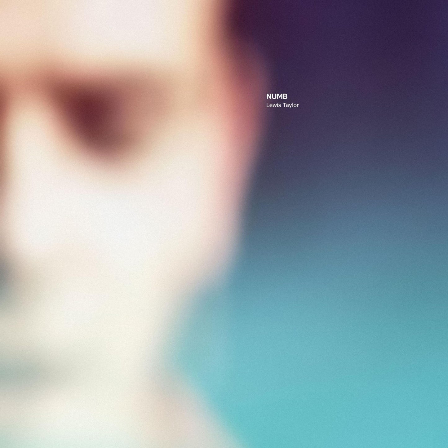 Lewis Taylor - Nam - Import Vinyl 2 LP Recurd