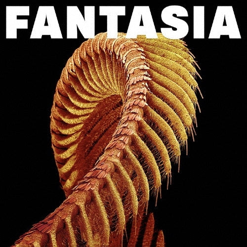 Slift - Fantasia - Import CD Limited Edition