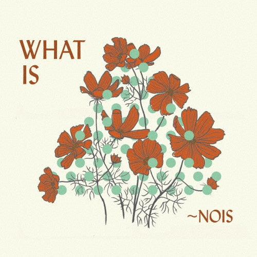 ~Nois - What Is -Nois? - Import CD