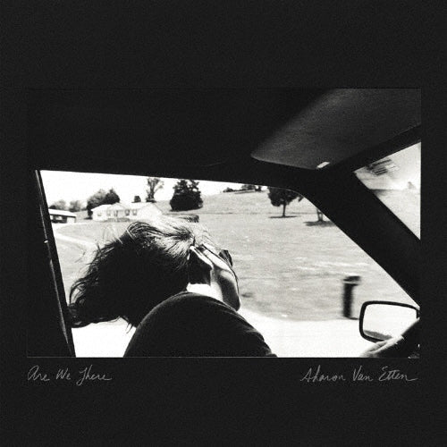 Sharon Van Etten - ARE WE THERE (10 YEAR ANNIVERSARY EDITION) - Import Vinyl LP Record Limited Edition