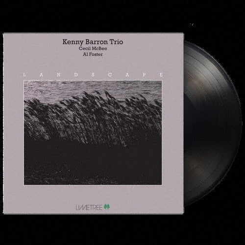 Kenny Barron Trio - Landscape - Import Vinyl LP Record
