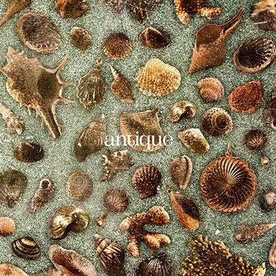 OisicleMelonpan - antique - Japan CD+Blu-ray Disc Limited Edition