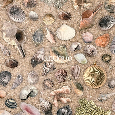 OisicleMelonpan - antique - Japan CD