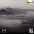 Radek Baborak & Baborak Ensemble - Bruckner in Cathedral - Japan SACD Hybrid