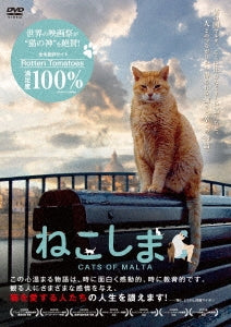 Sarah Jayne Portelli - Cats Of Malta - Japan DVD