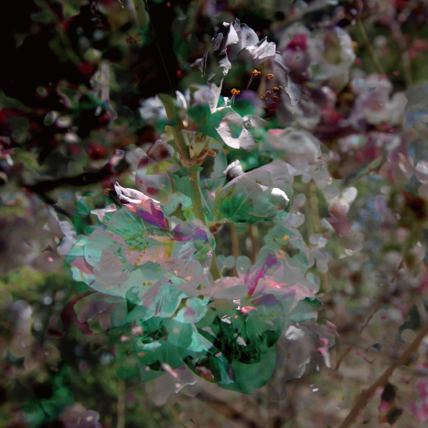 Kafka'S Ibiki - Shiminhai - Japan Vinyl LP Record