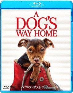 Movie - A Dog's Way Home Blu-ray & DVD Set - Japan Blu-ray Disc+DVD