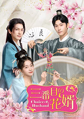 TV Series - Choice Husband DVD Set 2 - Japan 3 DVD Disc