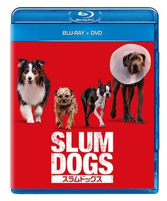 Movie - Strays - Japan Blu-ray Disc+DVD