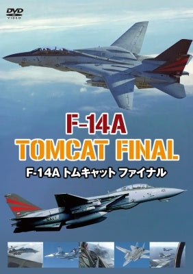 (Educational Interests) - F-14a Tomcat Final - Japan DVD