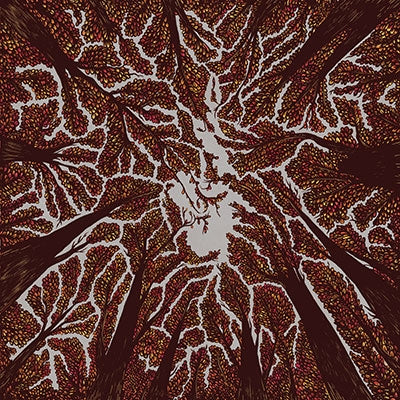 Trash Boat - Crown Shyness - Import CD
