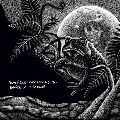 Daniele Brusaschetto - Bruise A Shadow - Import CD