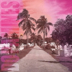 The Dopamines - 80/20 - Japan CD