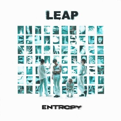 Leap - Entropy - Import Vinyl LP Record