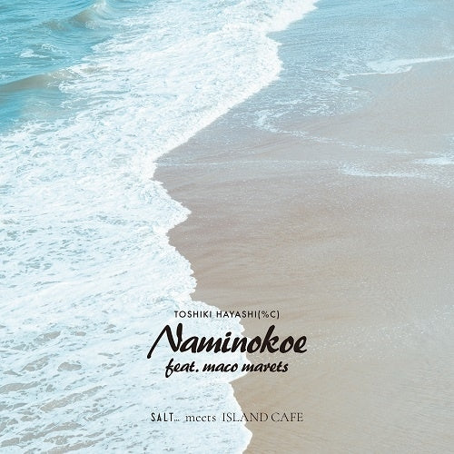 Toshiki Hayashi(%C) - Naminokoe feat. maco marets - Japan 7 inch Single Record