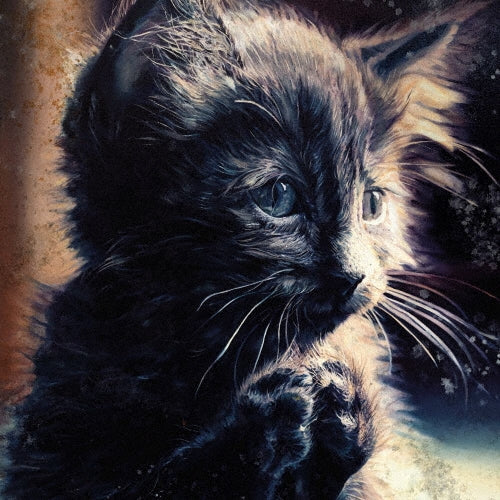 Perzeptiver Dampfkessel Qualmt Besinnlich - Pussy Disco - Import CD