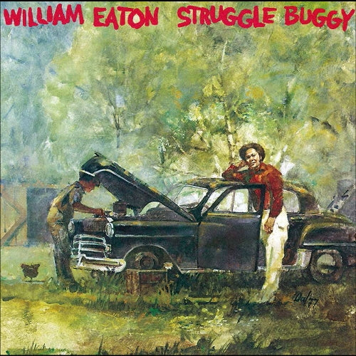 Larry Carlton & Paul Brown - STRUGGLE BUGGY(ltd.paper-sleeve) - Japan Mini LP CD