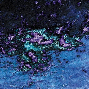 Honnnomajika~Naharu × Keiji Haino - Honnnomajika~Naharu × Keiji Haino - Japan CD