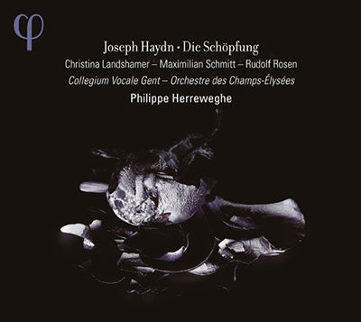 Haydn (1732-1809) - Die Schopfung : Herreweghe / Champs-Elysees Orchestra, Collegium Vocale (2CD) - Import 2 CD