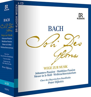 Peter Dijkstra - Bach: Wege Zur Musik - Import 6 CD Box Set
