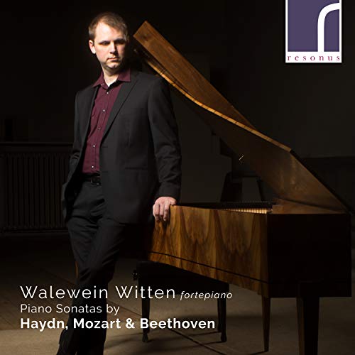 Valery Vyaltsev - Haydn, Mozart & Beethoven: Piano Sonatas: Walewein Witten(Fp) - Import CD