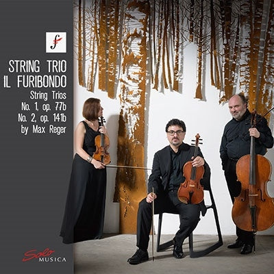 Il Flibondo - Reger, Max (1873-1916) String Trios Nos.1, 2 : Il Furibondo - Import CD