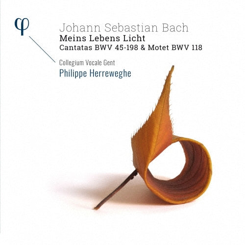 Philippe Herreweghe - Bach: Cantata, 45, 198, Motets Bwv, 118 - Import CD